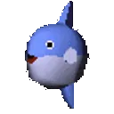 z_03_feeshfishspin