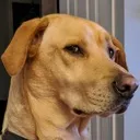disapproving_side_eye