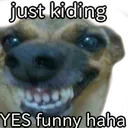 yes_funny Discord Emoji