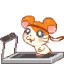 fastrun