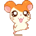 hamsterhamtaro1