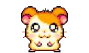 tuesdayhamster