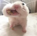 Caughtintheact