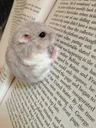 WaitaMinuteICantRead