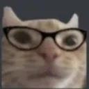 nerdcat nerdcat