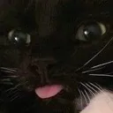 blep1