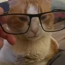 NerdChonk