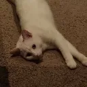 InSadmusicensues Discord Emoji