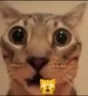 OMG