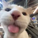 SillyMilly