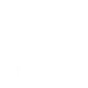 vote