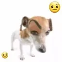 emoji_110