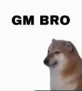 sky_Gm_bro