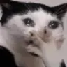 :billi_crying: