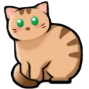 hkitty