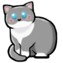 skitty