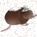2022xmas_snowyshrew 2022xmas_snowyshrew