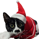 grt_catlinaxmas Discord emoji