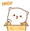 milkcat_hello