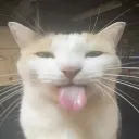 BLEHHHHHHH