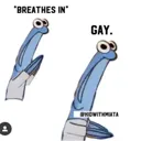 gaygayhomosexualgay