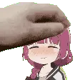 KikuriPat