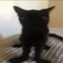 emoji_46 Discord emoji