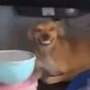 emoji_51 Discord emoji