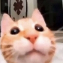 emoji_54 Discord emoji