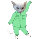 pajamaCatdance