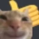 catthumbsup catthumbsup