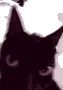 cannot_be_contained