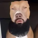 lightskin