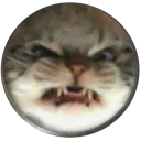 wunkangry2