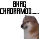 Z_bhag_chadarmod