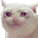 emoji_52