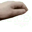 PETTHEDEV