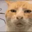 Acat_HUH
