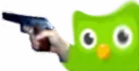 duoGun