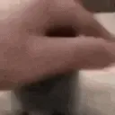 catPAT catPAT