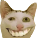 teef2