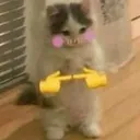 FlushedKittenUwU Discord Emoji