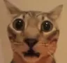 guh