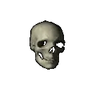 2Q23_Skull