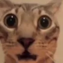 shocked