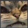 D7_Grrr Discord emoji