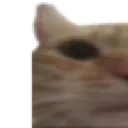 Cat1 cat1 Discord Emoji