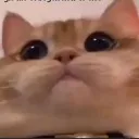 ummok
