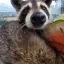 snuffa