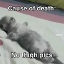 Cat1 cat1 Discord Emoji